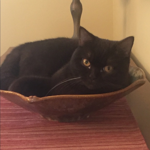 Meet your Posher!  An intro to what I can offer 😊 - Picture 2 of 7